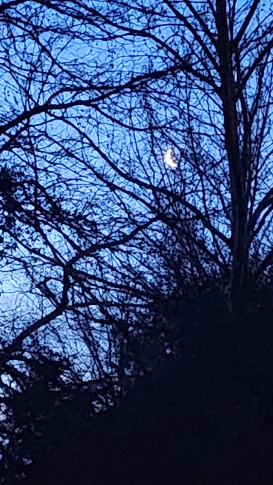 Luna del 1 de mayo 2025